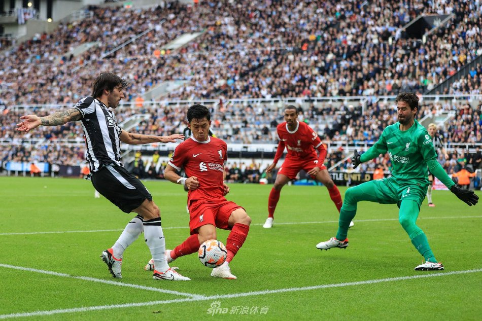 眼的表现 眼的表现