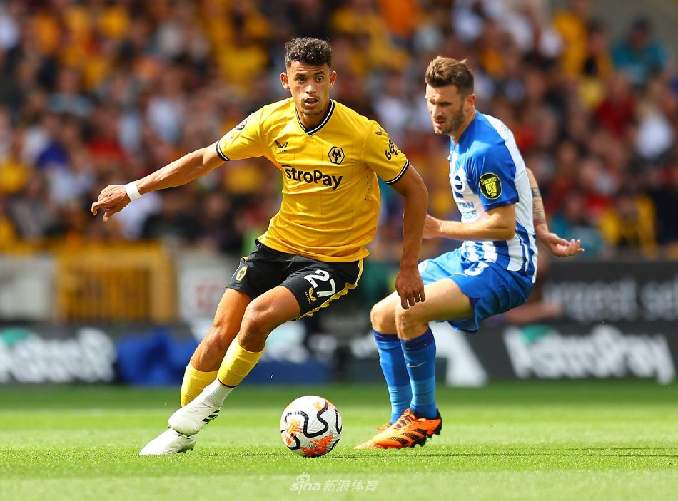 合同含40 合同含40